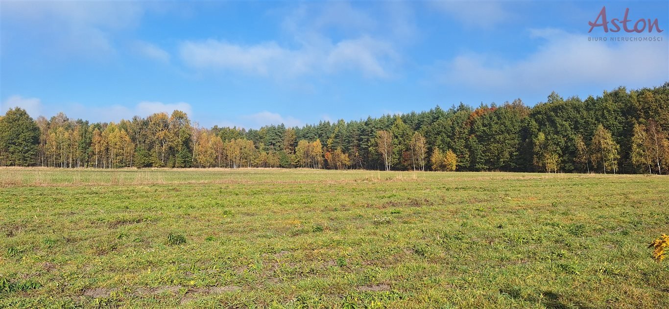 Działka inna na sprzedaż Nowe Bojszowy  841m2 Foto 5