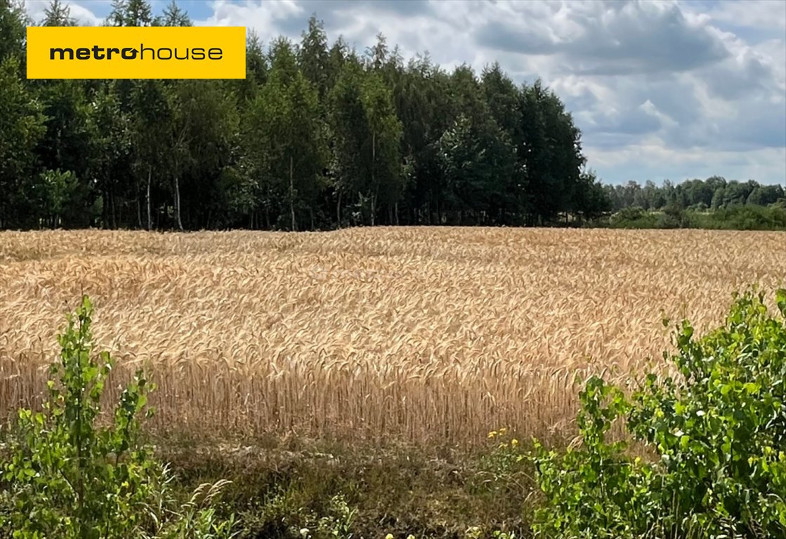 Działka inna na sprzedaż Karwacz  2 900m2 Foto 1