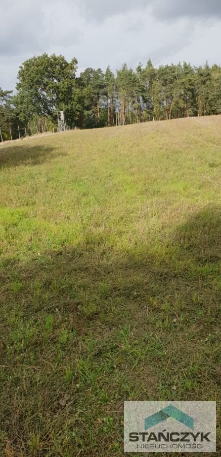 Działka rolna na sprzedaż Sieraków  16 000m2 Foto 6