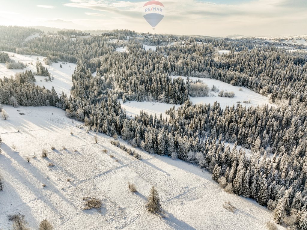 Działka rolna na sprzedaż Bukowina Tatrzańska  7 839m2 Foto 18