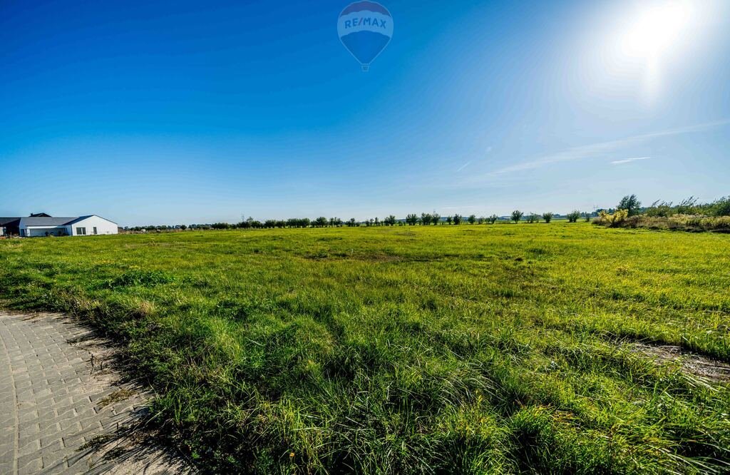 Działka budowlana na sprzedaż Kliny, Sokoła  2 137m2 Foto 12