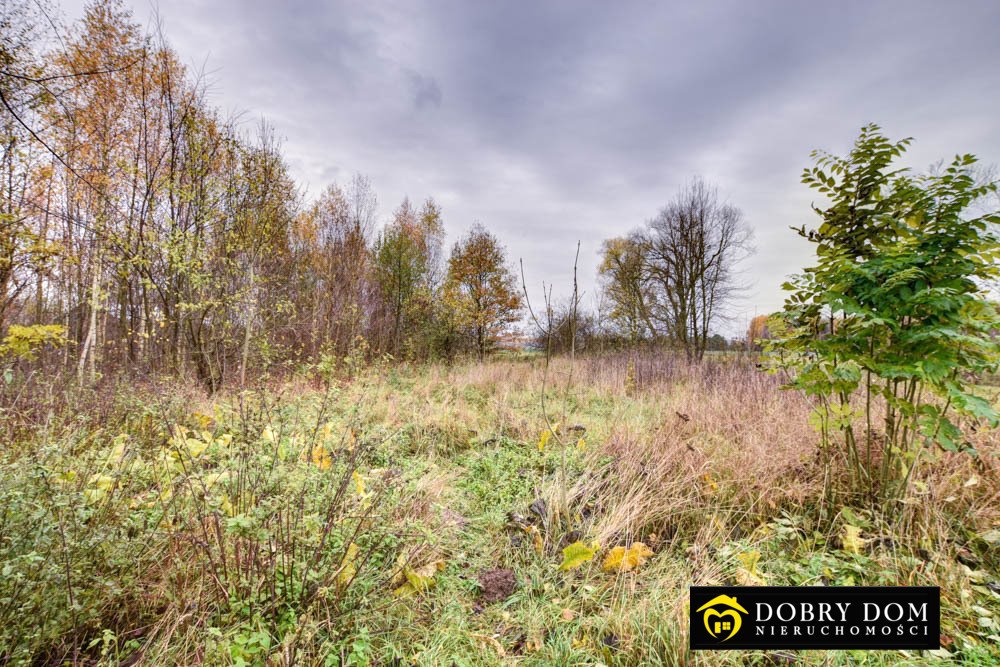 Dom na sprzedaż Knorydy  80m2 Foto 18