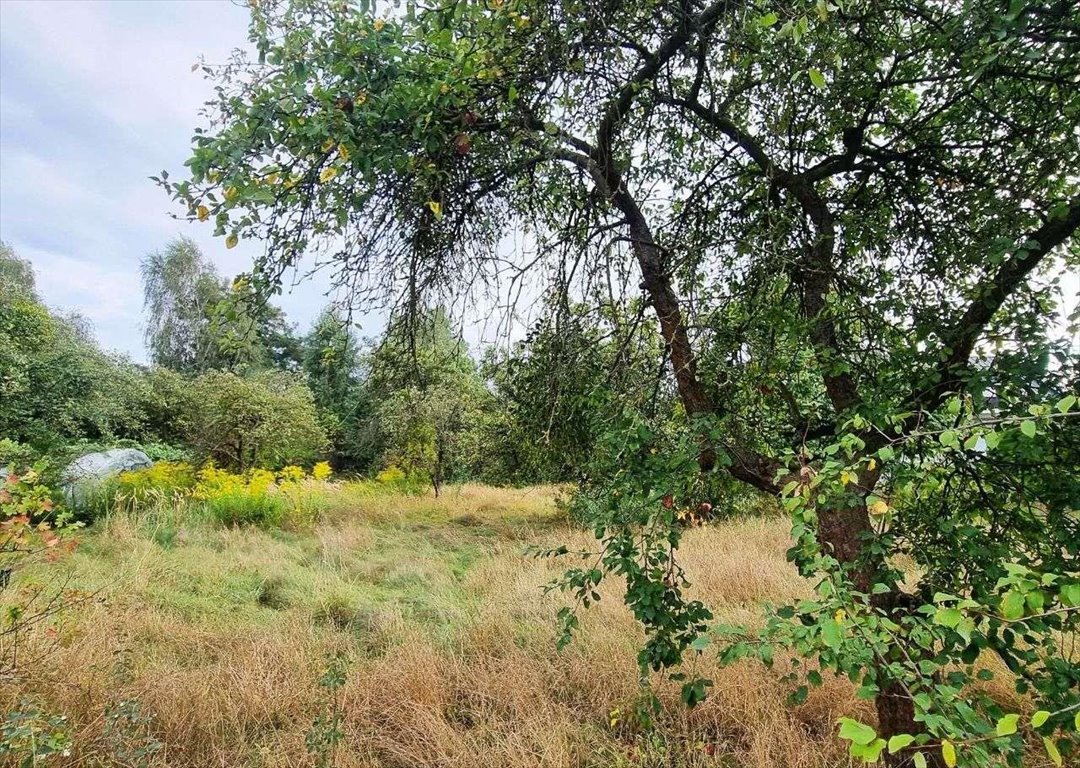 Działka budowlana na sprzedaż Palędzie, ul. Leśna  2 500m2 Foto 10