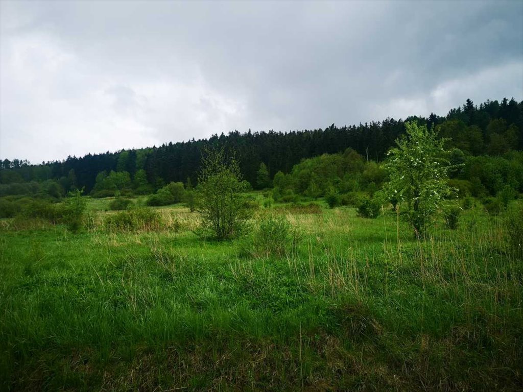 Działka inna na sprzedaż Kłodzko, Stary Wielisław  1 456m2 Foto 1