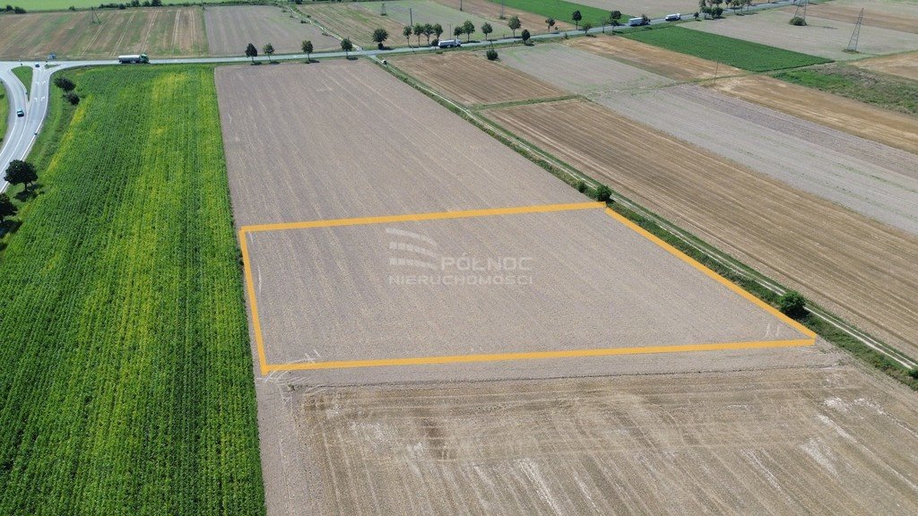 Działka budowlana na sprzedaż Zielęcice  6 500m2 Foto 2