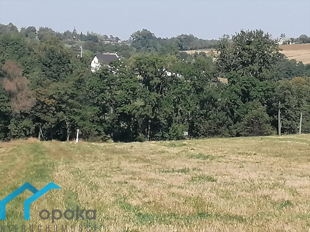 Atrakcyjna działka rolna 2 ha z dostępem do drogi Łączka, Wierzbowa  20 000m2 Foto 1