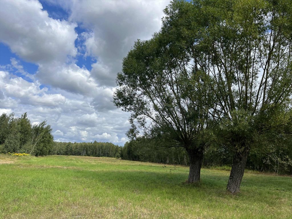 Duża działka 9500 m² z MPZP, las, media, blisko Warszawy Pustelnik, Graniczna  9 500m2 Foto 1