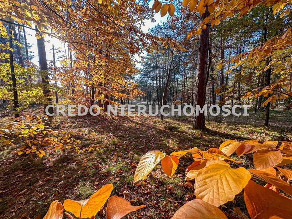 Działka budowlana na sprzedaż Pelnik  1 100m2 Foto 13