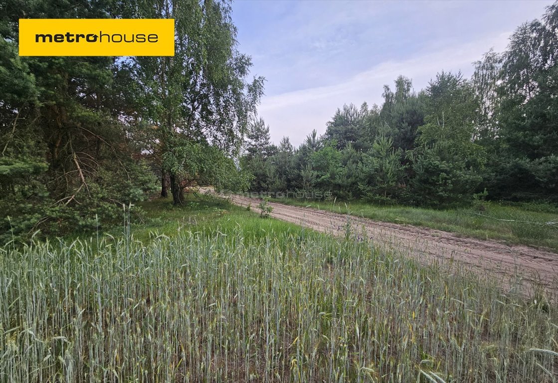 Działka inna na sprzedaż Teodorów  2 583m2 Foto 1