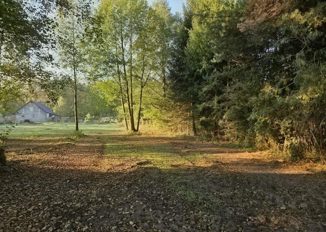 Na sprzedaż działka 1130 m² w Borowym Młynie z dostępem do jezior Borowy Młyn  1 130m2 Foto 1