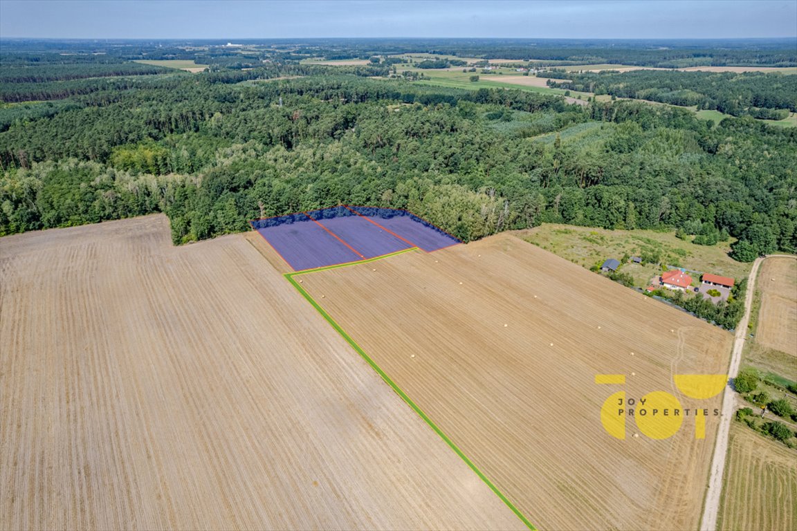 Do sprzedania malownicze działki z WZ, lasem i prywatnością Przepitki  3 000m2 Foto 1