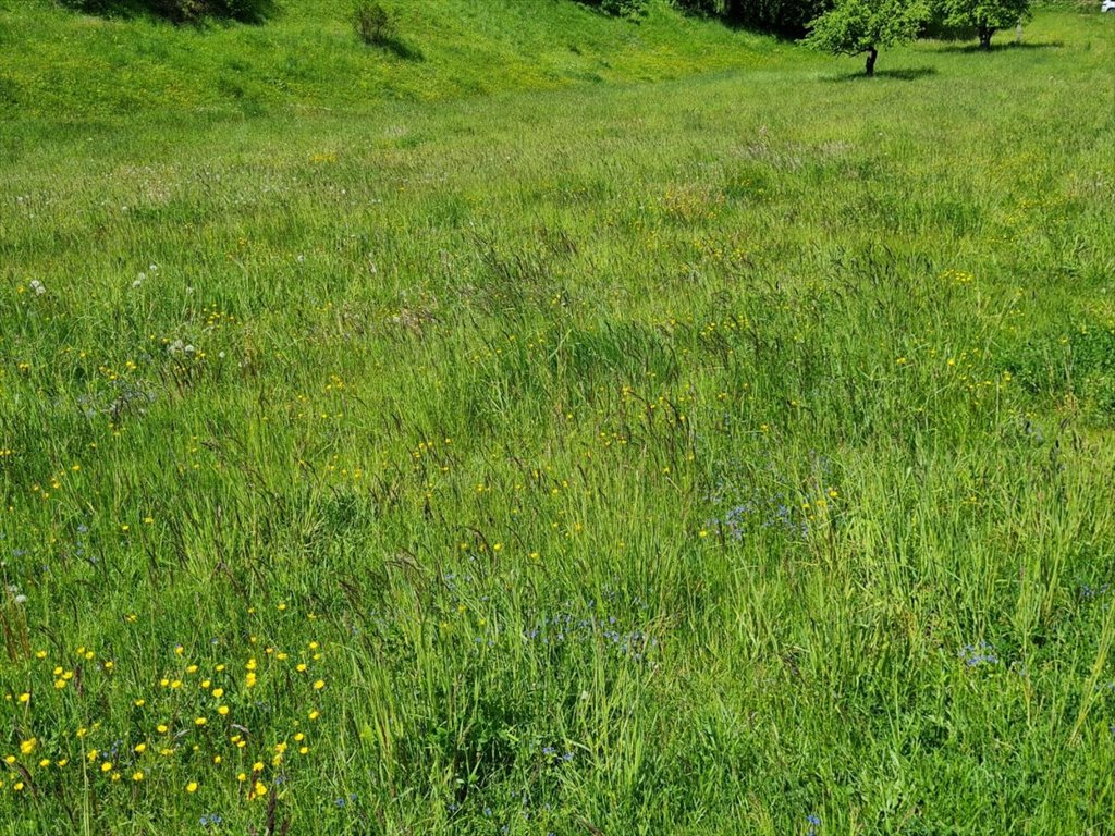 Działka budowlana na sprzedaż Raczki, Nadrzeczna  900m2 Foto 2