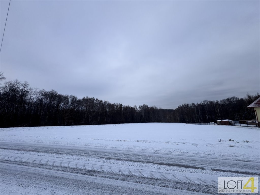 Działka 58 arów z warunkami zabudowy, blisko natury Wojnicz  5 800m2 Foto 1