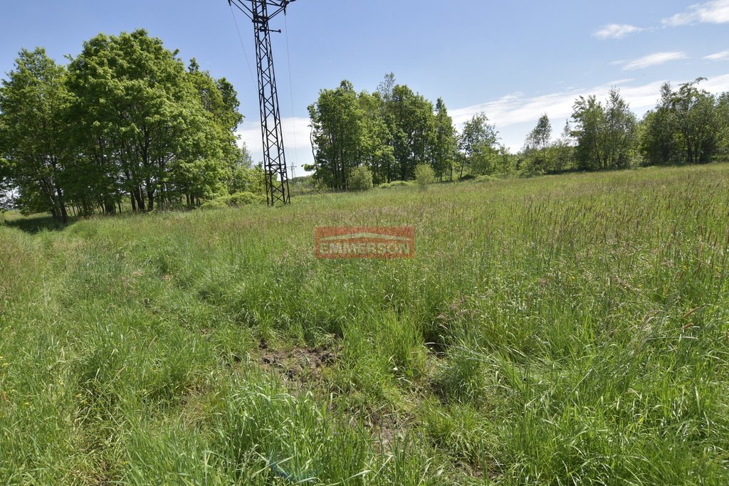 Działka budowlana na sprzedaż Ochodza  4 600m2 Foto 2