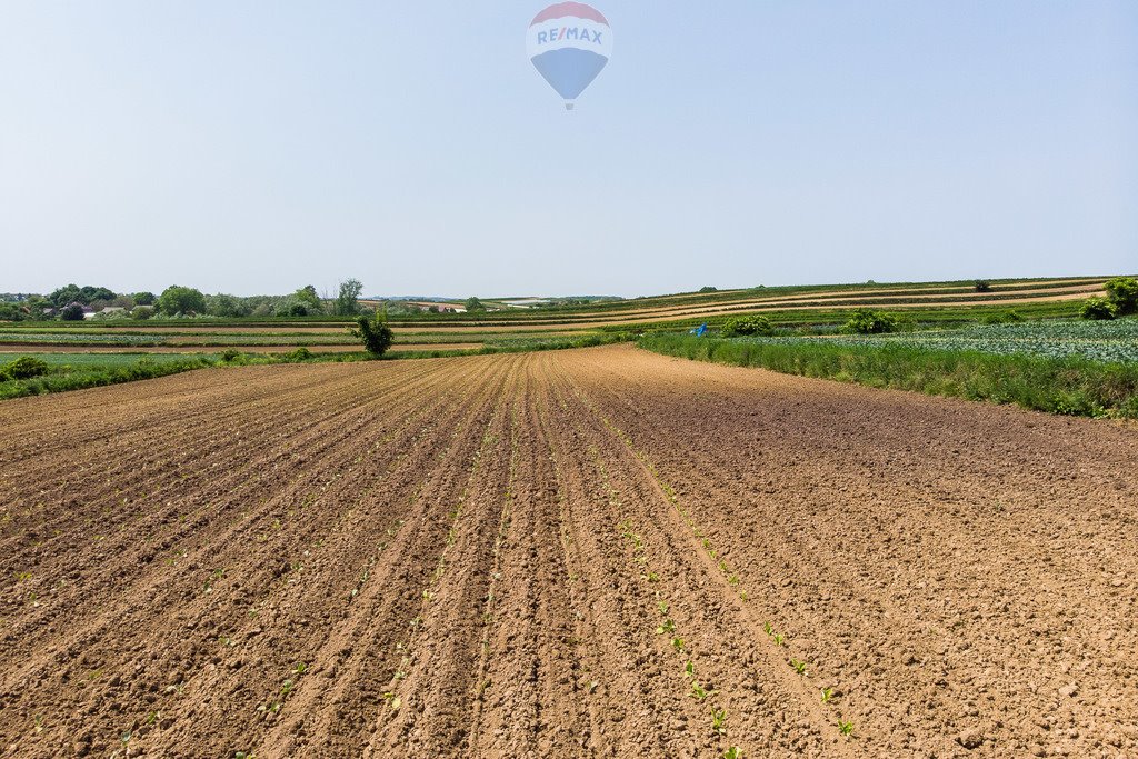 Działka budowlana na sprzedaż Stręgoborzyce  5 330m2 Foto 14