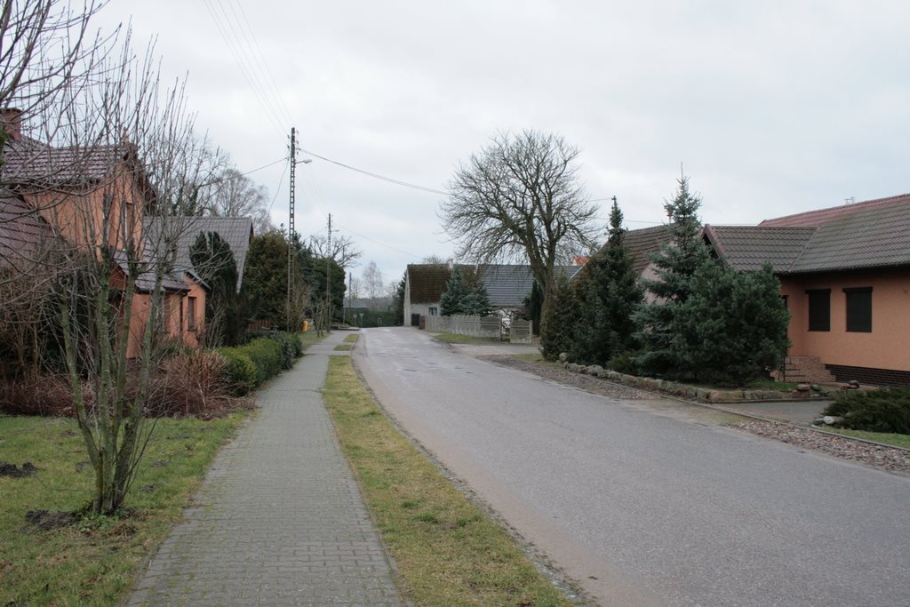 Dom z warsztatem stolarskim i dużą działką (3658 m²) Tucze  803m2 Foto 1