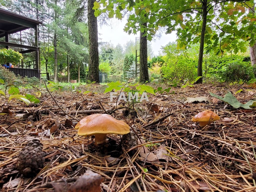 Działka rekreacyjna na sprzedaż Głuszynek  940m2 Foto 4