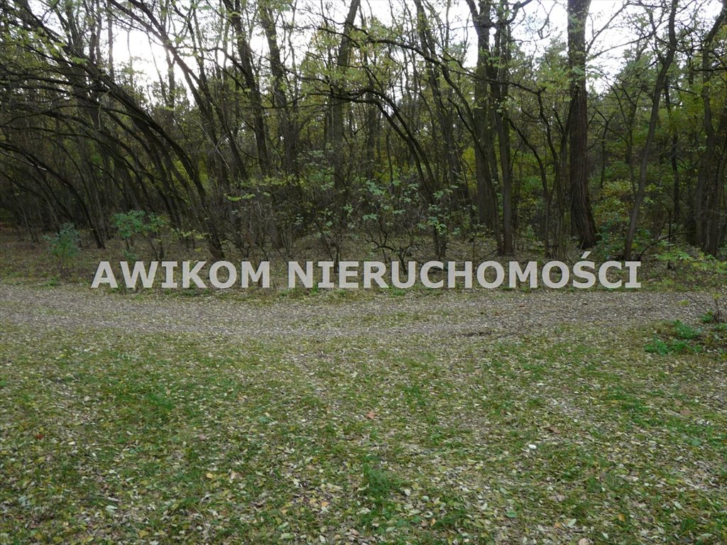 Działka inwestycyjna na sprzedaż Puszcza Mariańska, Wycześniak  162 570m2 Foto 4