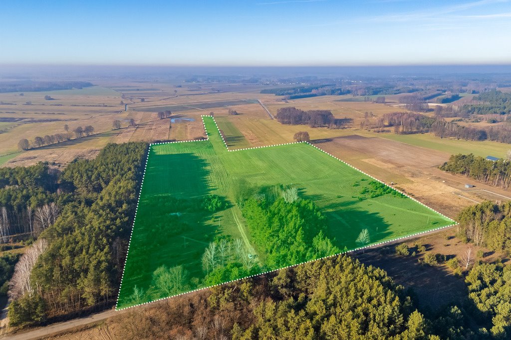 Działka siedliskowa na sprzedaż Borki  101 600m2 Foto 1