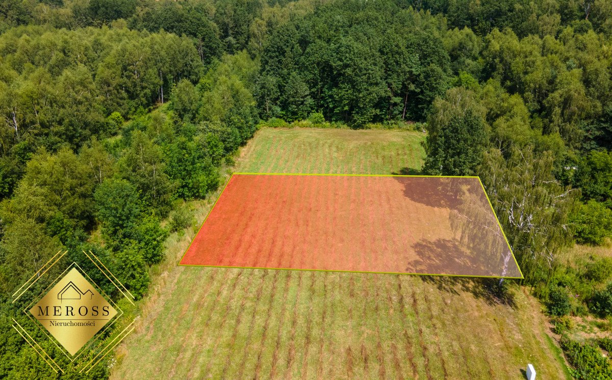 Działka budowlana na sprzedaż Jaskrów  933m2 Foto 5