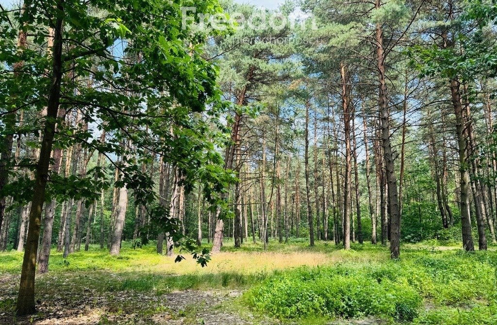 Działka budowlana na sprzedaż Złotokłos, Wierzbowa  4 200m2 Foto 9