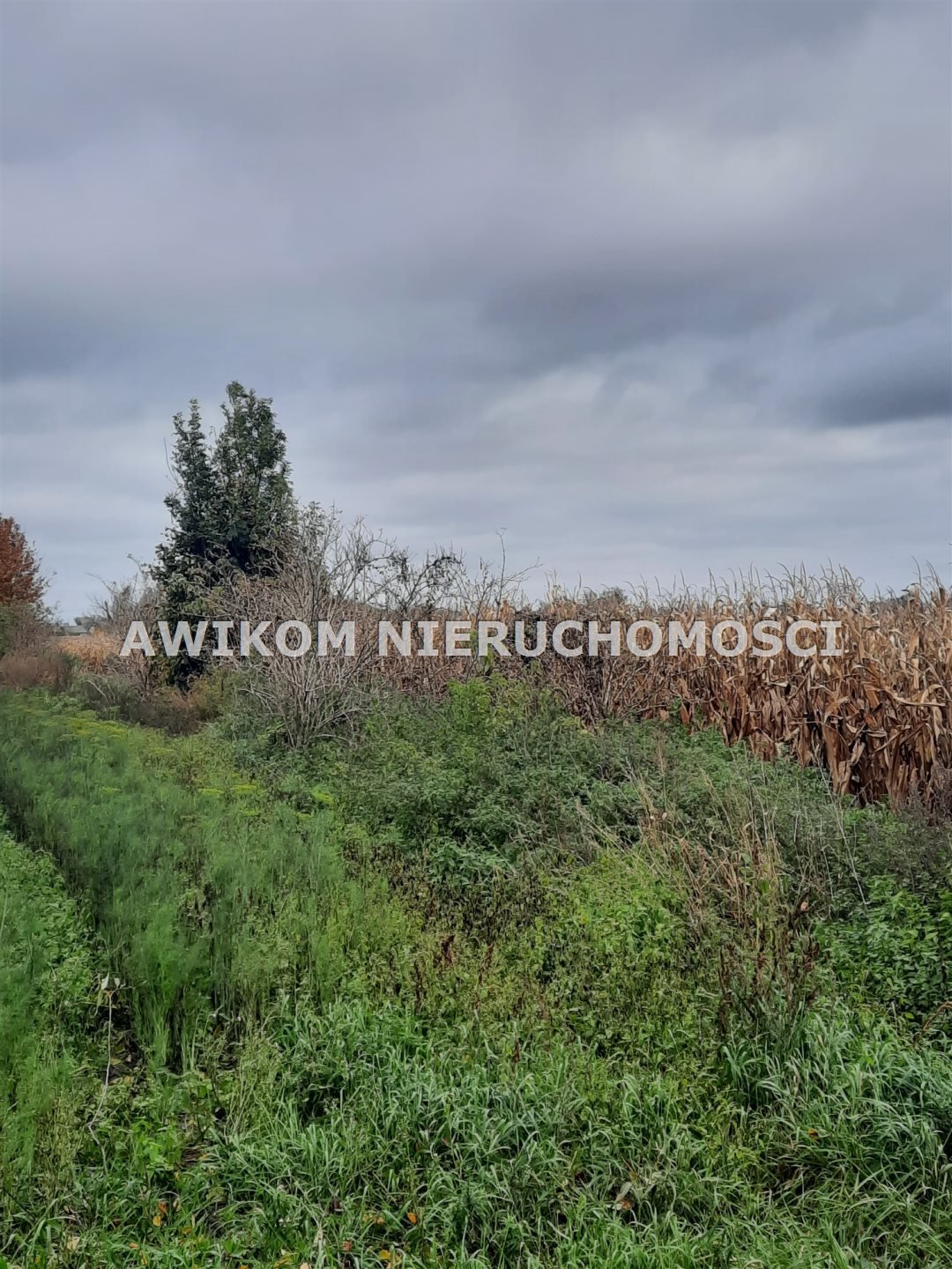 Działka rolno-siedliskowa 3001 m2 w Zazdrości, media, do negocjacji Zazdrość  3 001m2 Foto 1