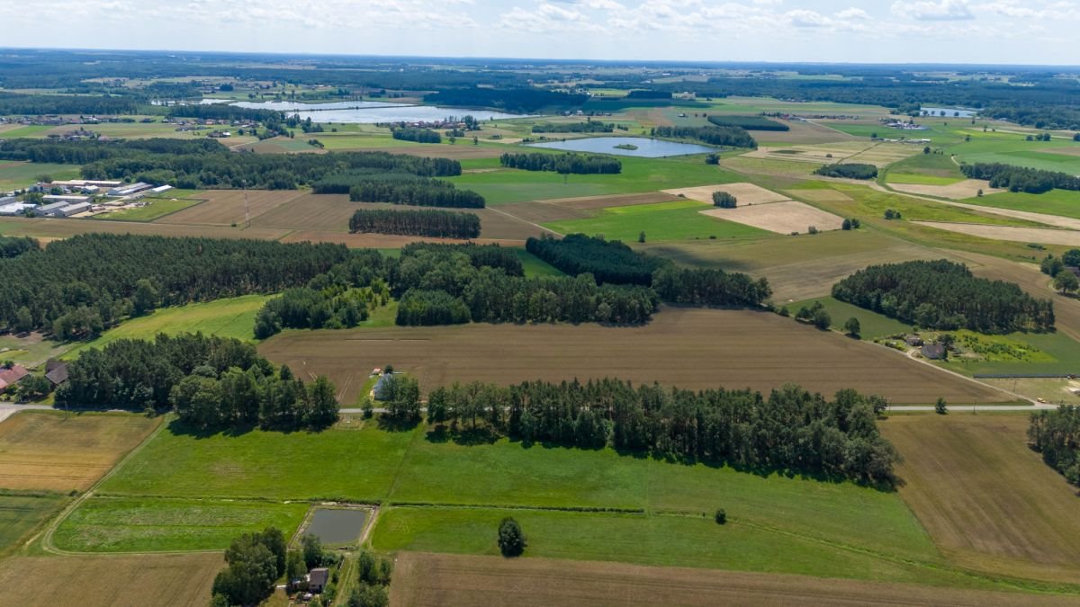 Działka budowlana na sprzedaż Zborowskie, Dolna  1 400m2 Foto 3