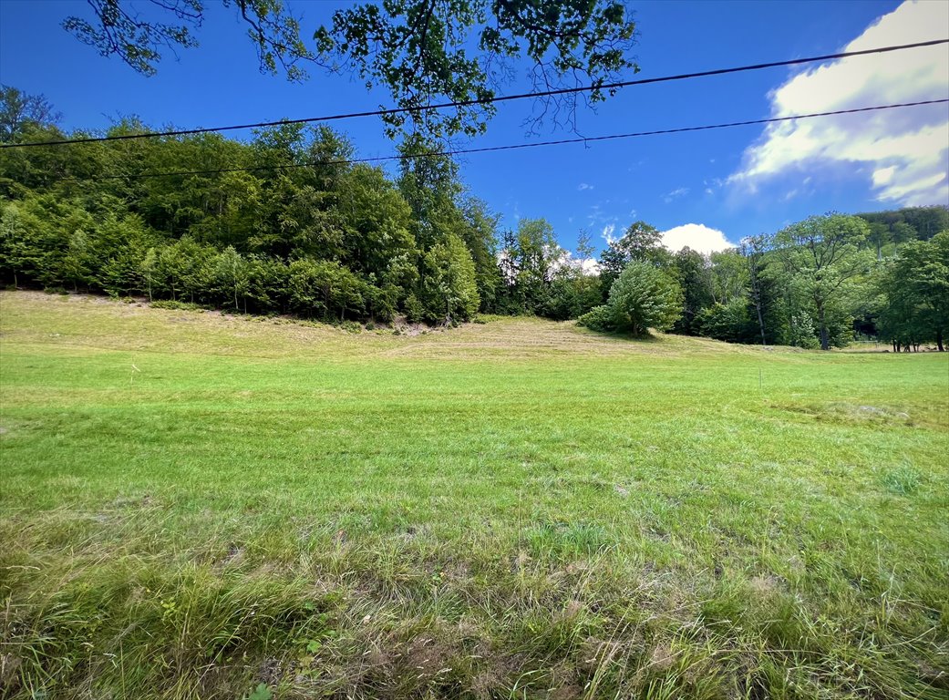 Działka rekreacyjna na sprzedaż Jarkowice  1 600m2 Foto 3