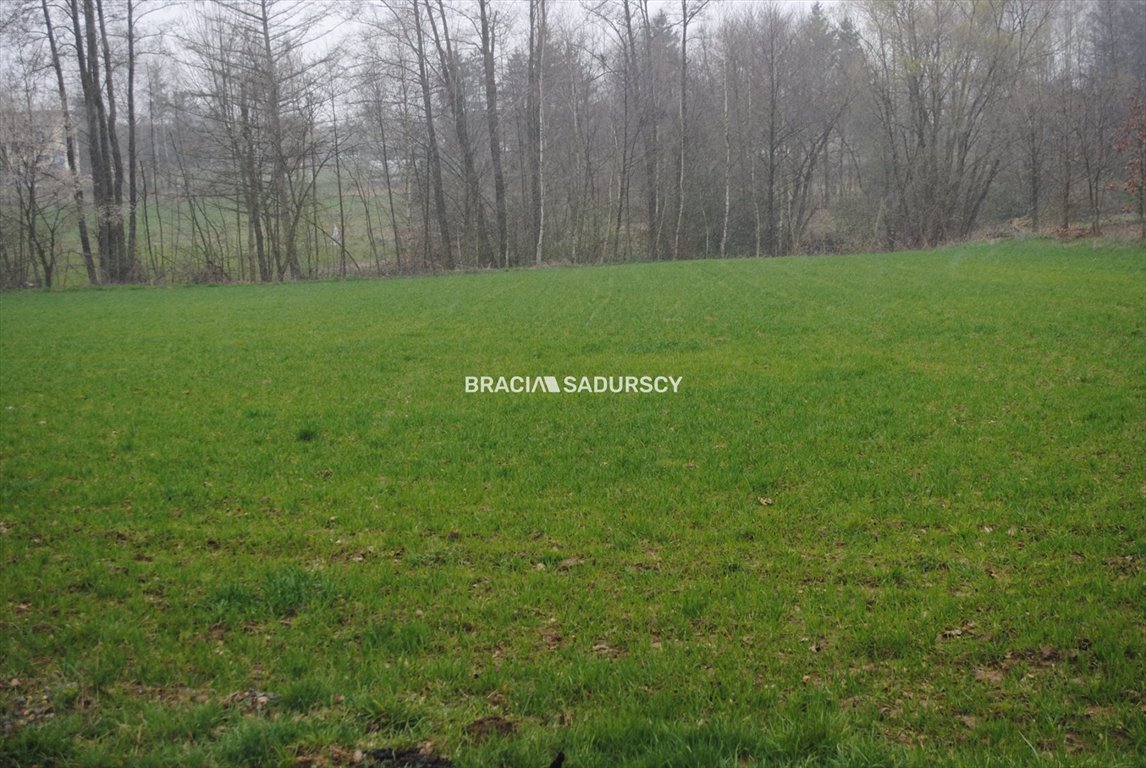 Działka budowlana na sprzedaż Gdów  4 900m2 Foto 5