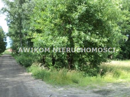 Działka leśna 11 500 m² w Piotrkowicach - inwestycja i rekreacja polecam Żabia Wola, Piotrkowice  11 500m2 Foto 1