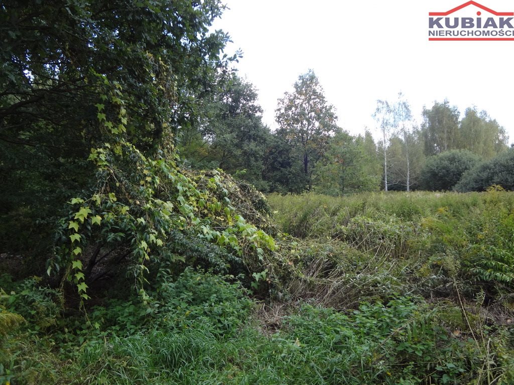 Działka budowlana na sprzedaż Komorów  3 700m2 Foto 2