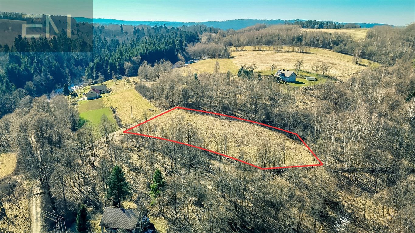 Działka rekreacyjna na sprzedaż Żyznów  4 000m2 Foto 1