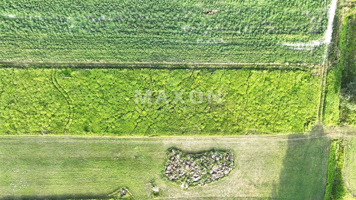 Działka rolna na sprzedaż Borzęcin Duży  3 254m2 Foto 7