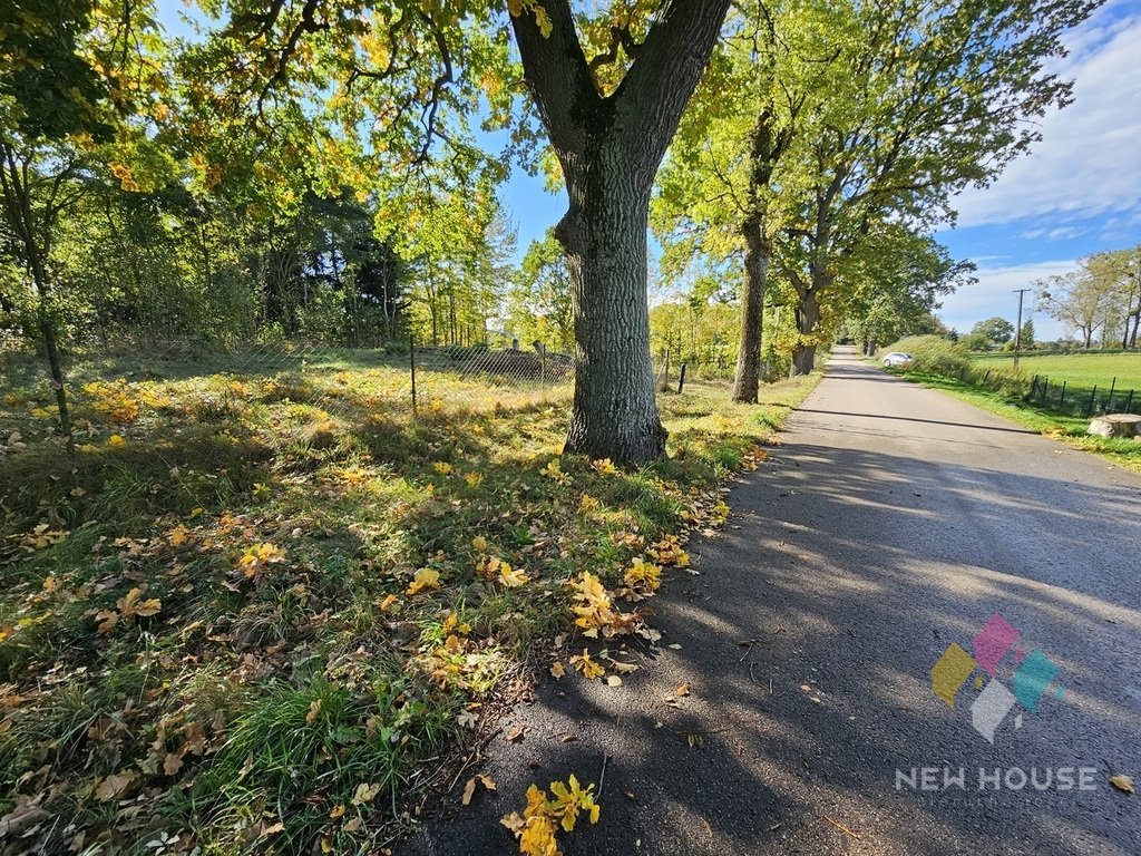 Działka budowlana na sprzedaż Sople  900m2 Foto 8