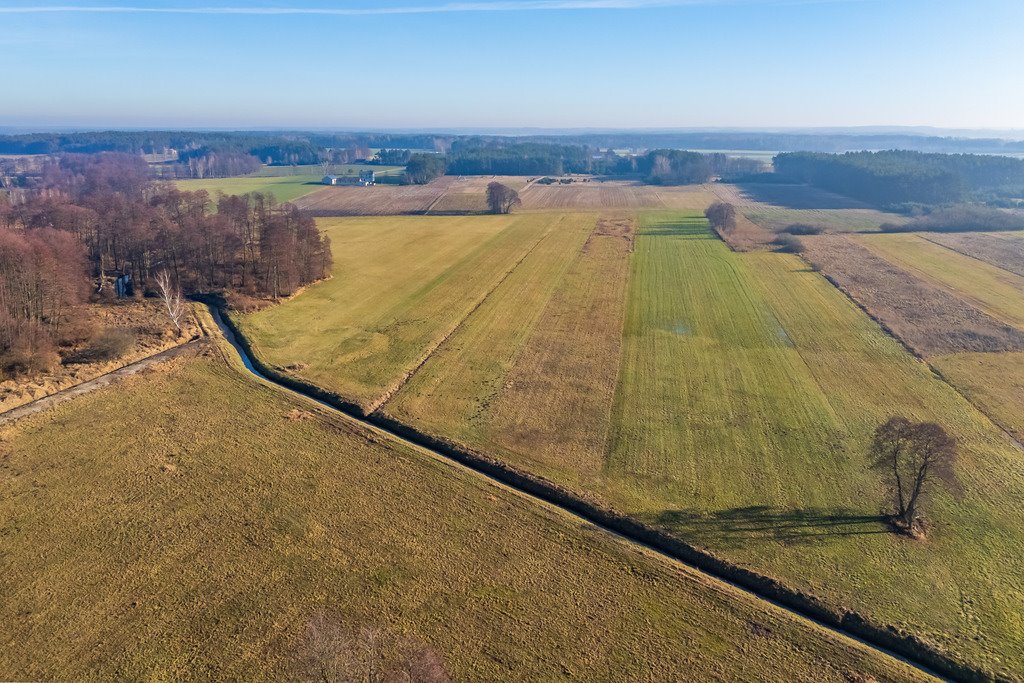 Działka siedliskowa na sprzedaż Borki  101 600m2 Foto 17