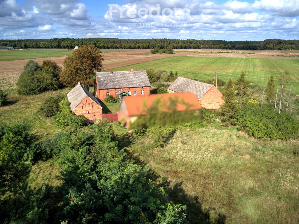 Dom na sprzedaż Jędrzejewo  300m2 Foto 7