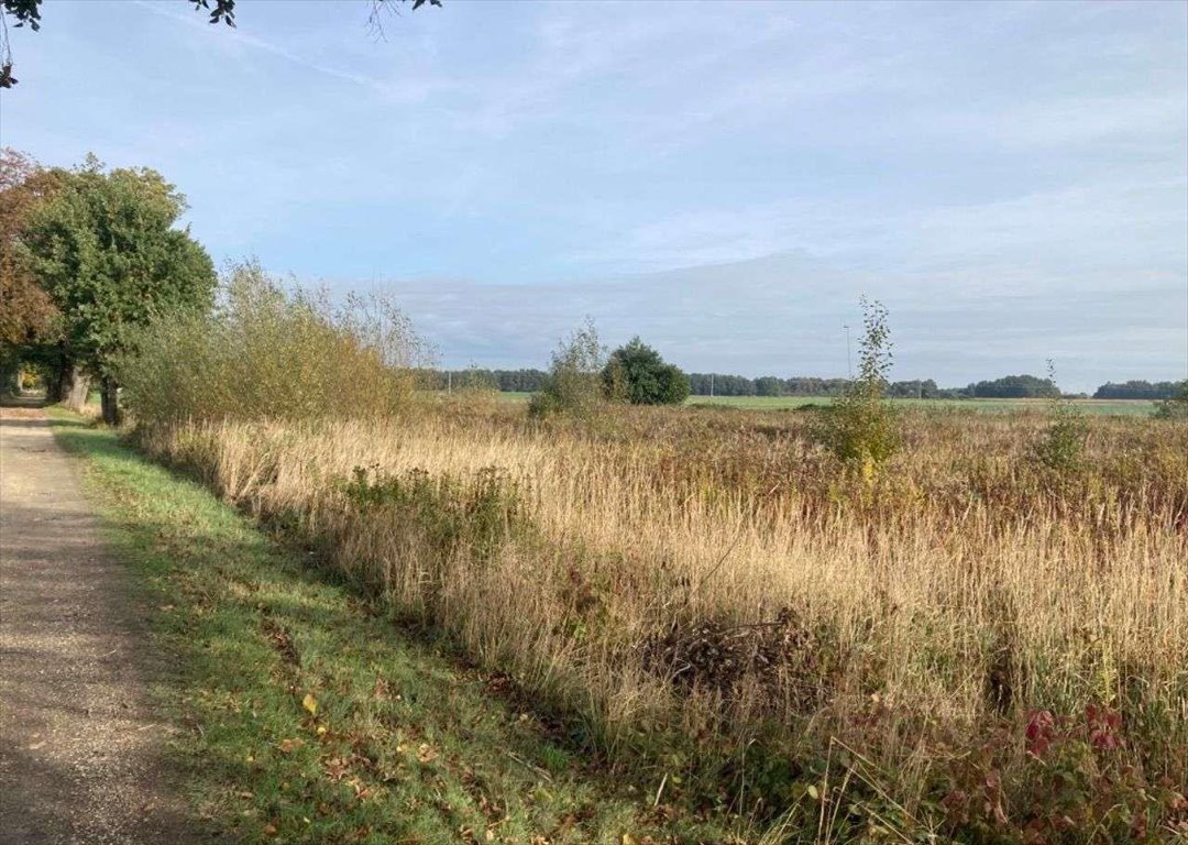 Polecam działkę 7 500 m² pod inwestycję przy DK 42 w Duczowie Duczów Wielki  7 500m2 Foto 1