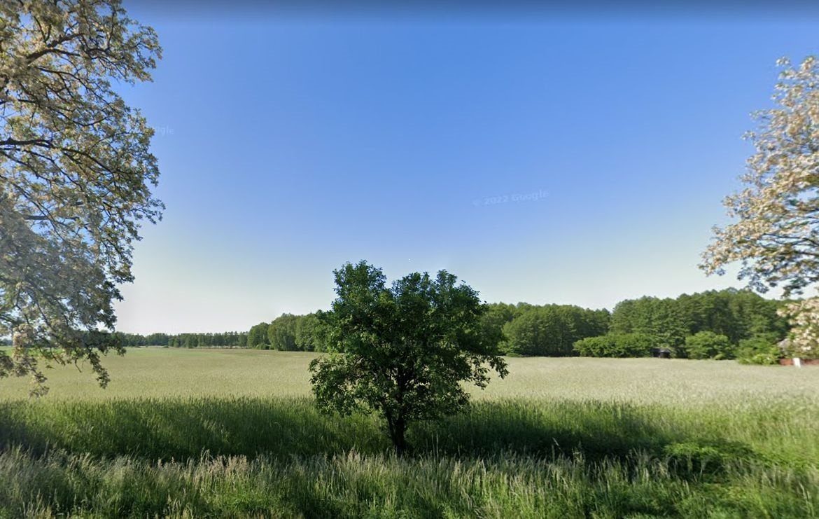 Działka rolna na sprzedaż Kałoszyn  4 310m2 Foto 2