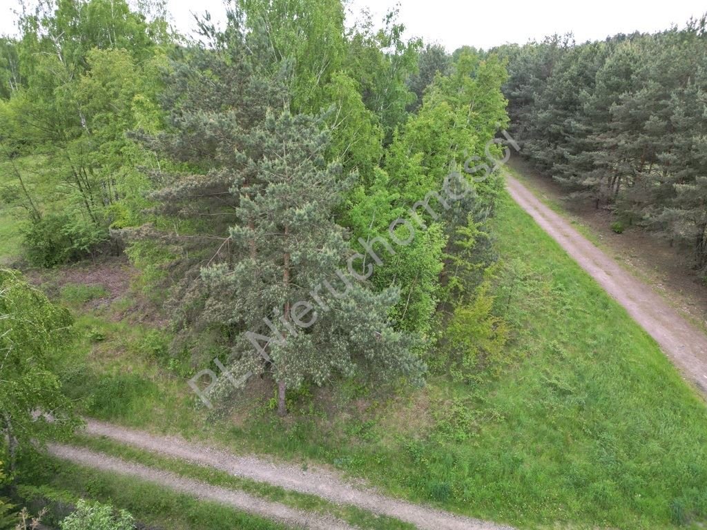 Działka budowlana 2345 m² w otulinie lasu, media, MPZP Makówka  2 345m2 Foto 1