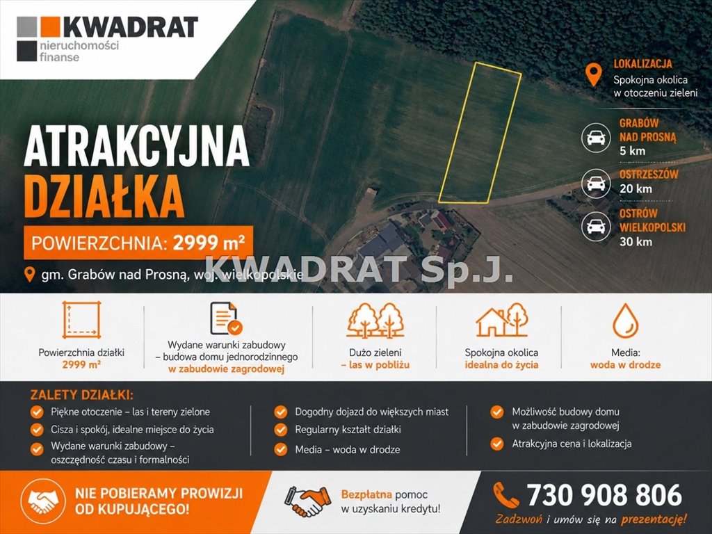 Działka 2999 m² pod zabudowę zagrodową, las, Grabów Wójtostwo Grabów-Wójtostwo  2 999m2 Foto 1
