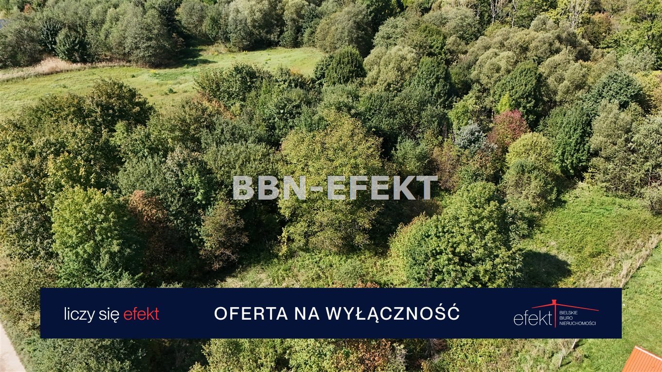 Działka budowlana na sprzedaż Lipowa  6 816m2 Foto 3