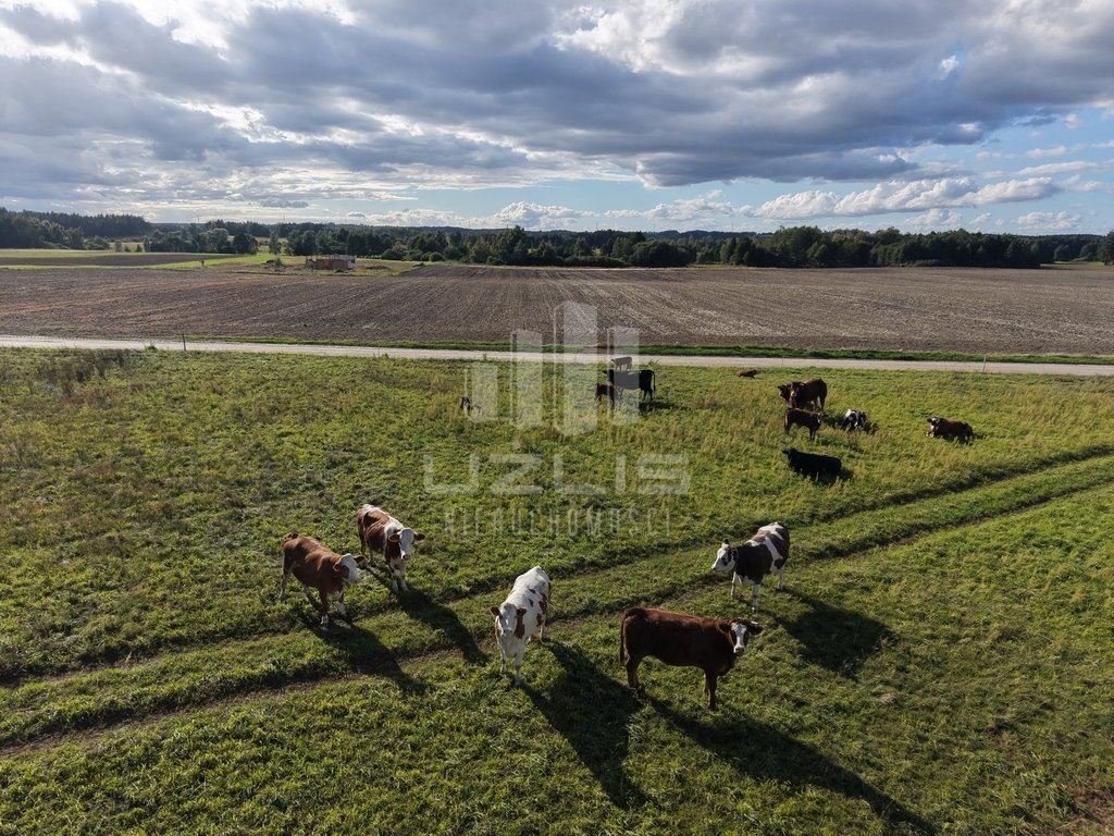 Zapraszam do zakupu działki 5 000 m² w Boroszewie Boroszewo  5 000m2 Foto 1