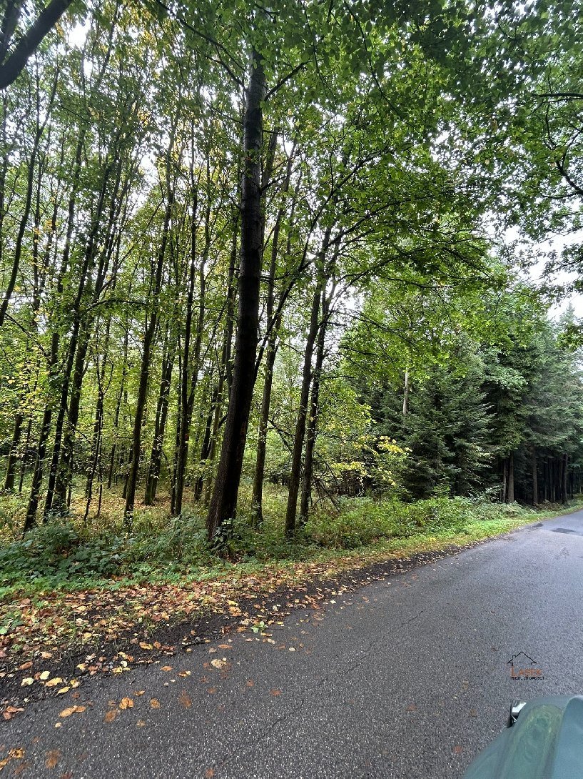 Działka leśna 7 400 m² w Wysokiej – idealna pod inwestycję Wysoka  7 400m2 Foto 1
