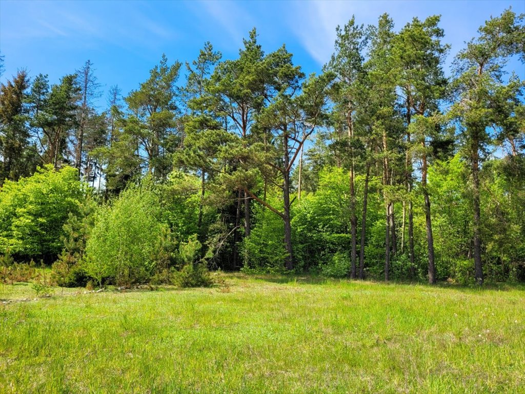 Działka budowlana na sprzedaż Osowa  18 700m2 Foto 7