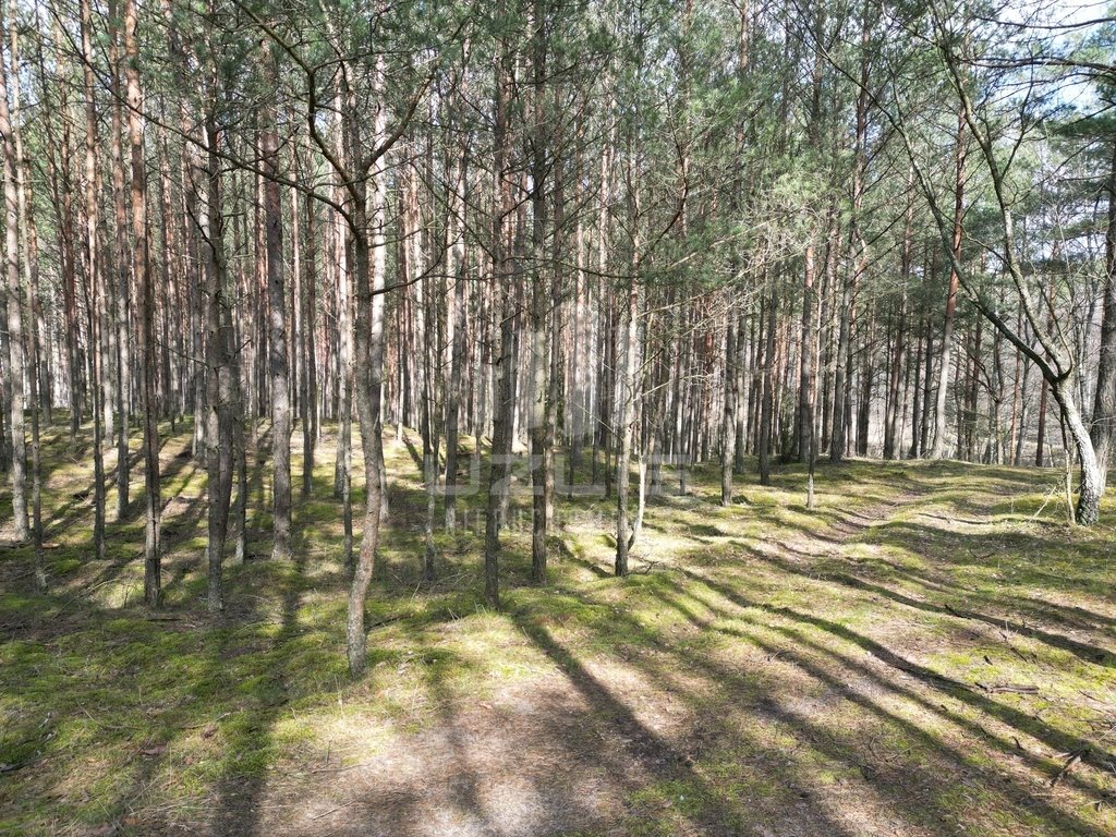 Działka leśna na sprzedaż Krępki  12 611m2 Foto 8