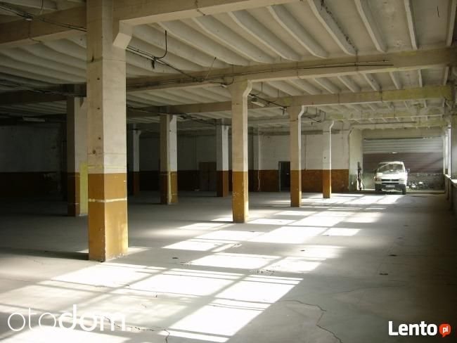 Lokal użytkowy na wynajem Gdańsk, Gdańsk Południe 336m2 Foto 1 Lokal użytkowy na wynajem Gdańsk, Gdańsk Południe 336m2 Foto 1
