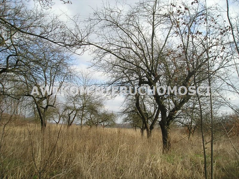 Działka rolna na sprzedaż Skierniewice, Dębowa Góra  16 511m2 Foto 3