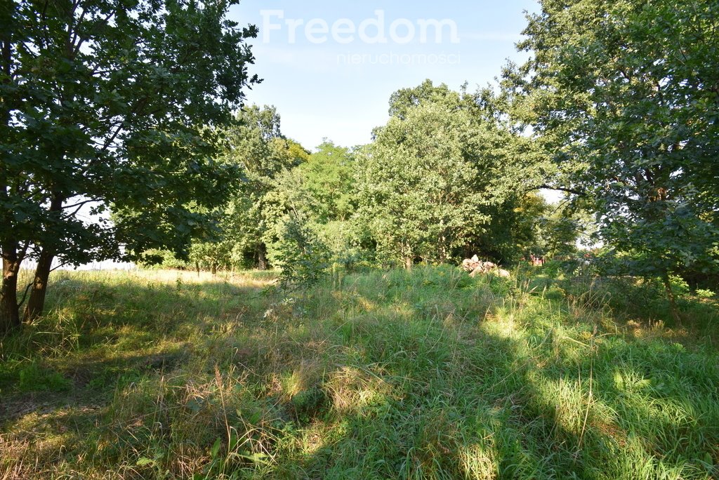 Działka budowlana na sprzedaż Niemodlin  1 700m2 Foto 4