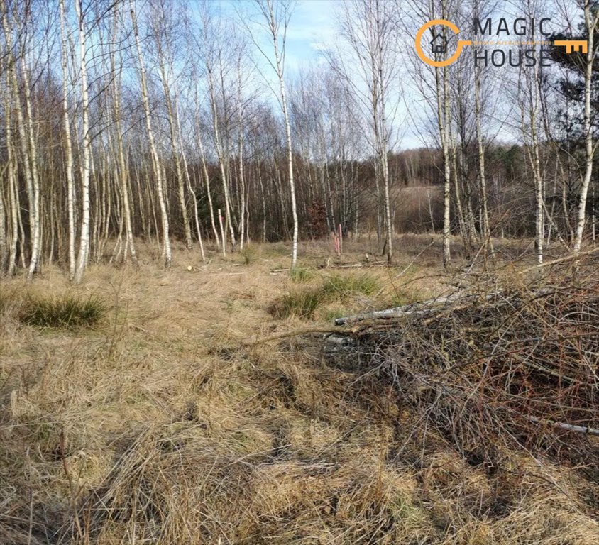 Działka budowlana na sprzedaż Salinko  1 030m2 Foto 2