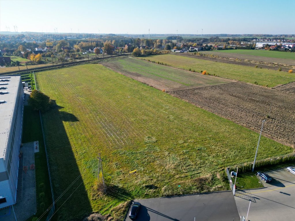 Działka budowlana na sprzedaż Kobylnica  18 600m2 Foto 5